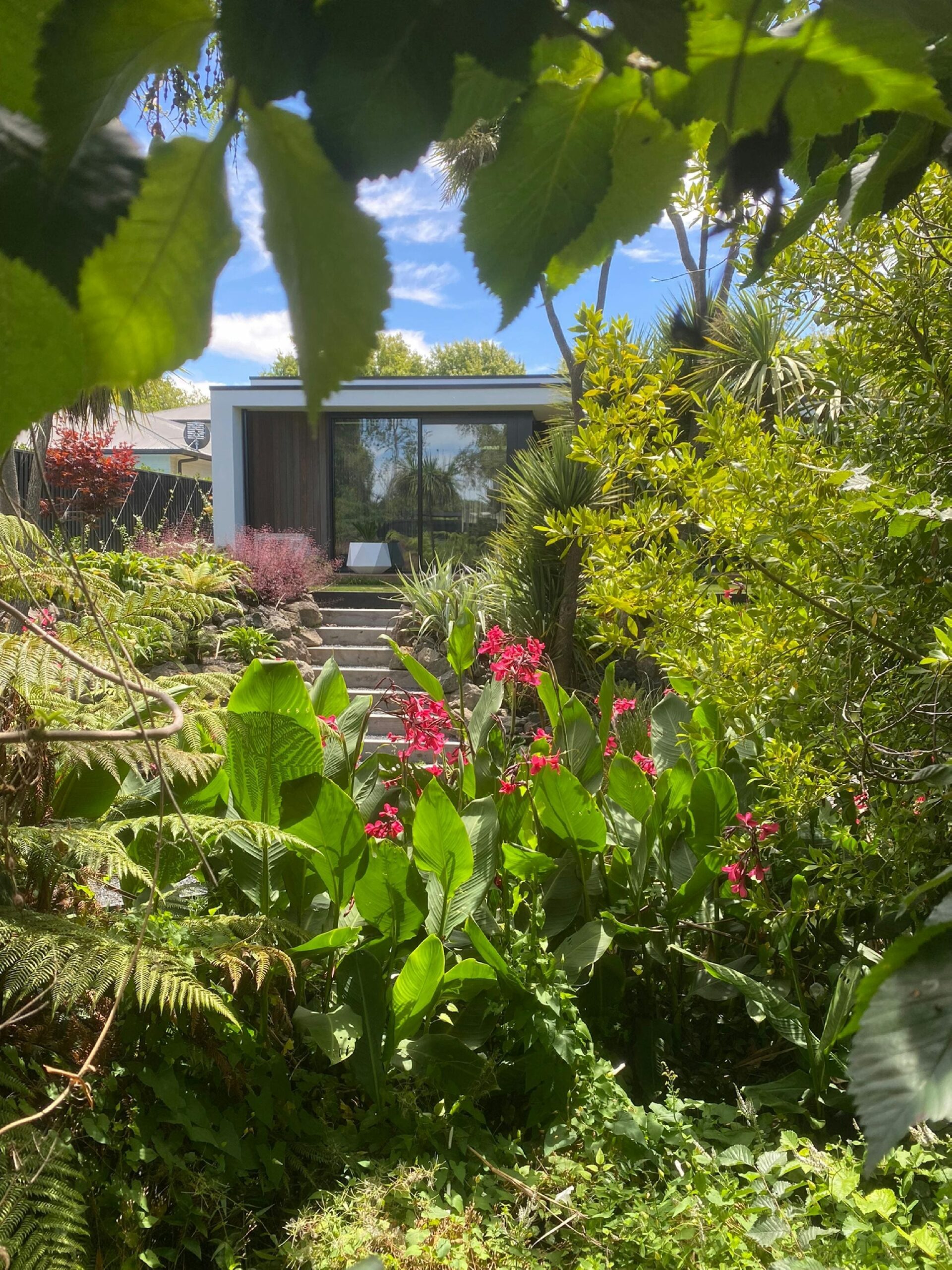 IMG-20230120-WA000296